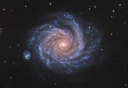 image of the Big Dipper constellation