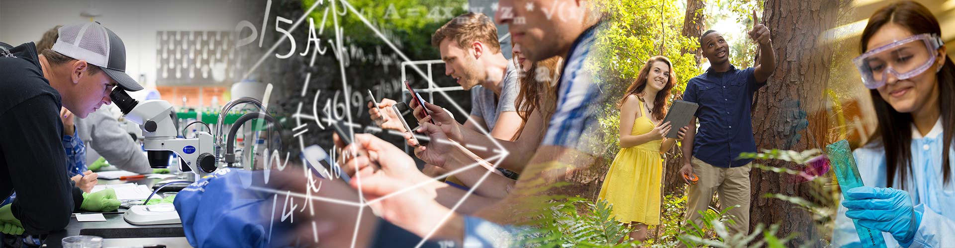 Mathematics banner image