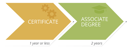 orange and green graphic showing Certificate to associate pathway