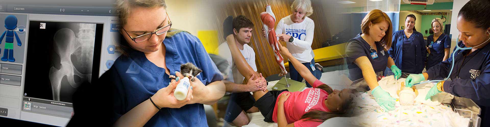 collage of SPC students in health care situations and Veterinary interaction